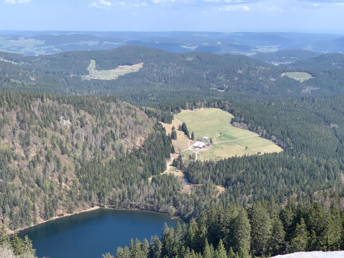 Ferienwohnung Heimweg Feldberg  Eksteriør billede