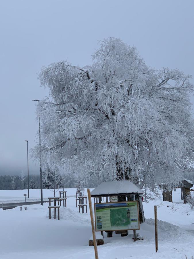 Ferienwohnung Heimweg Feldberg  Eksteriør billede