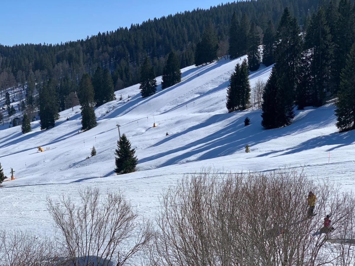 Ferienwohnung Heimweg Feldberg  Eksteriør billede